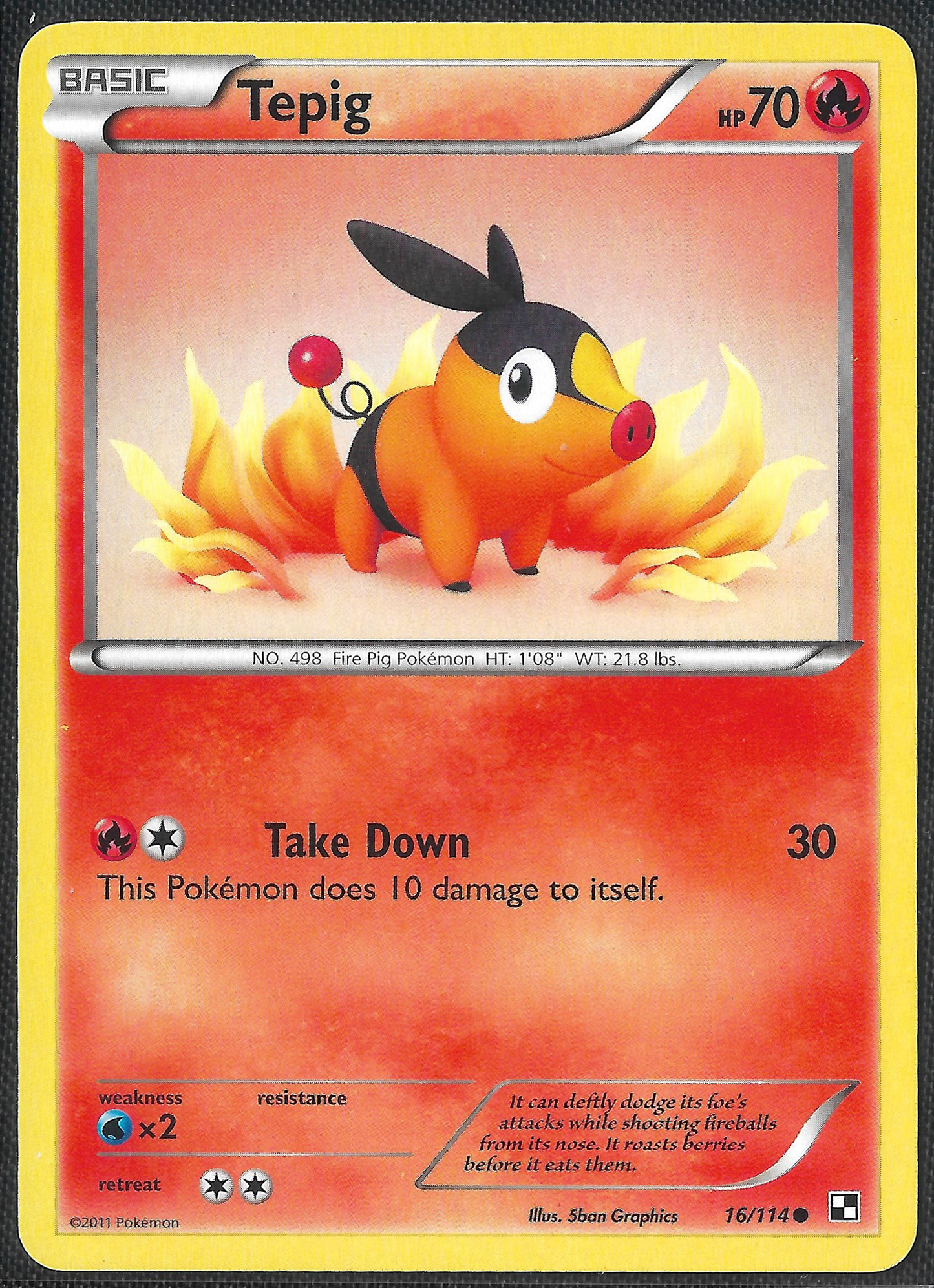 Tepig - 16/114 - Black & White - Common