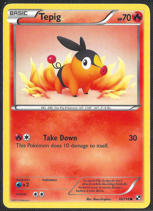 Tepig - 16/114 - Black & White - Common