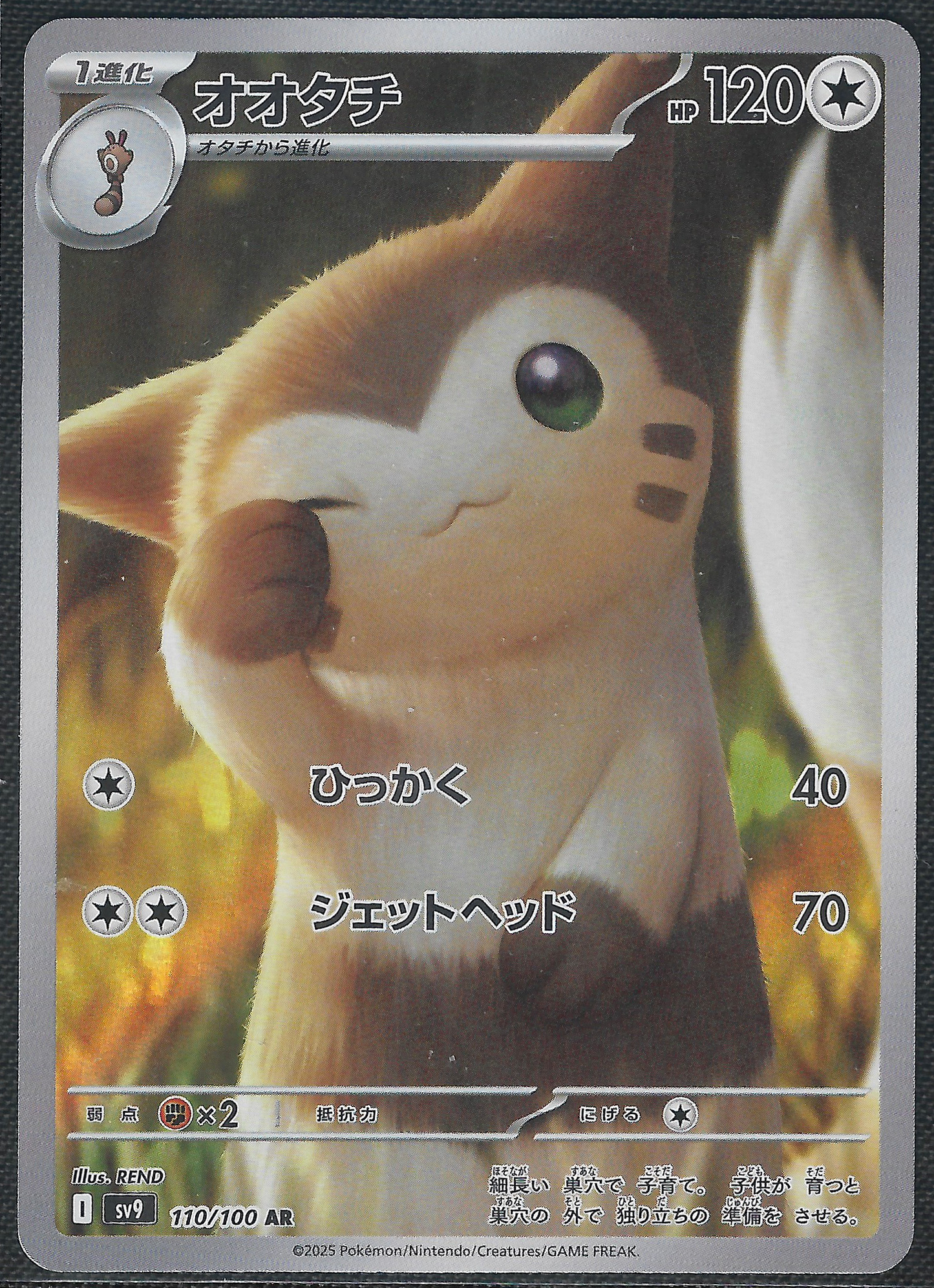 Furret - 110/100 - Battle Partners - Illustration Rare